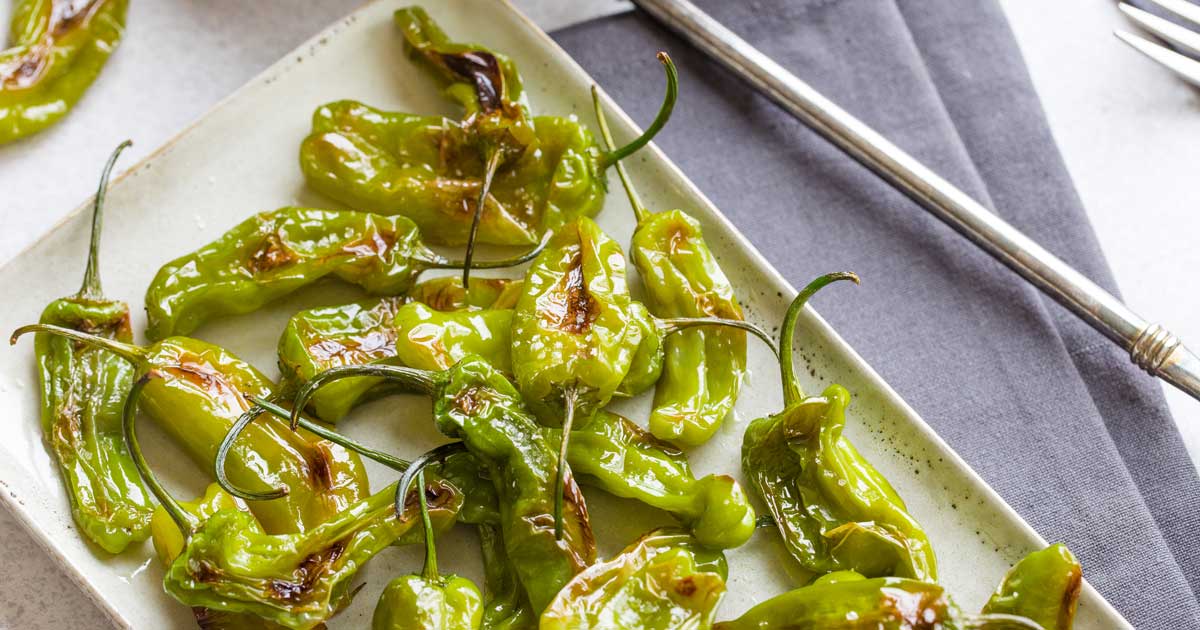 Blistered Shishito Peppers